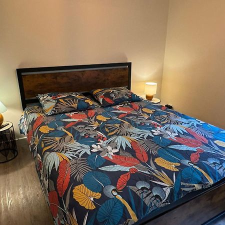 Residence Bois Du Bouchet, Appartement Vue Montagne, Calme, Parking Gratuit, Proche Centre Chamonix Eksteriør billede