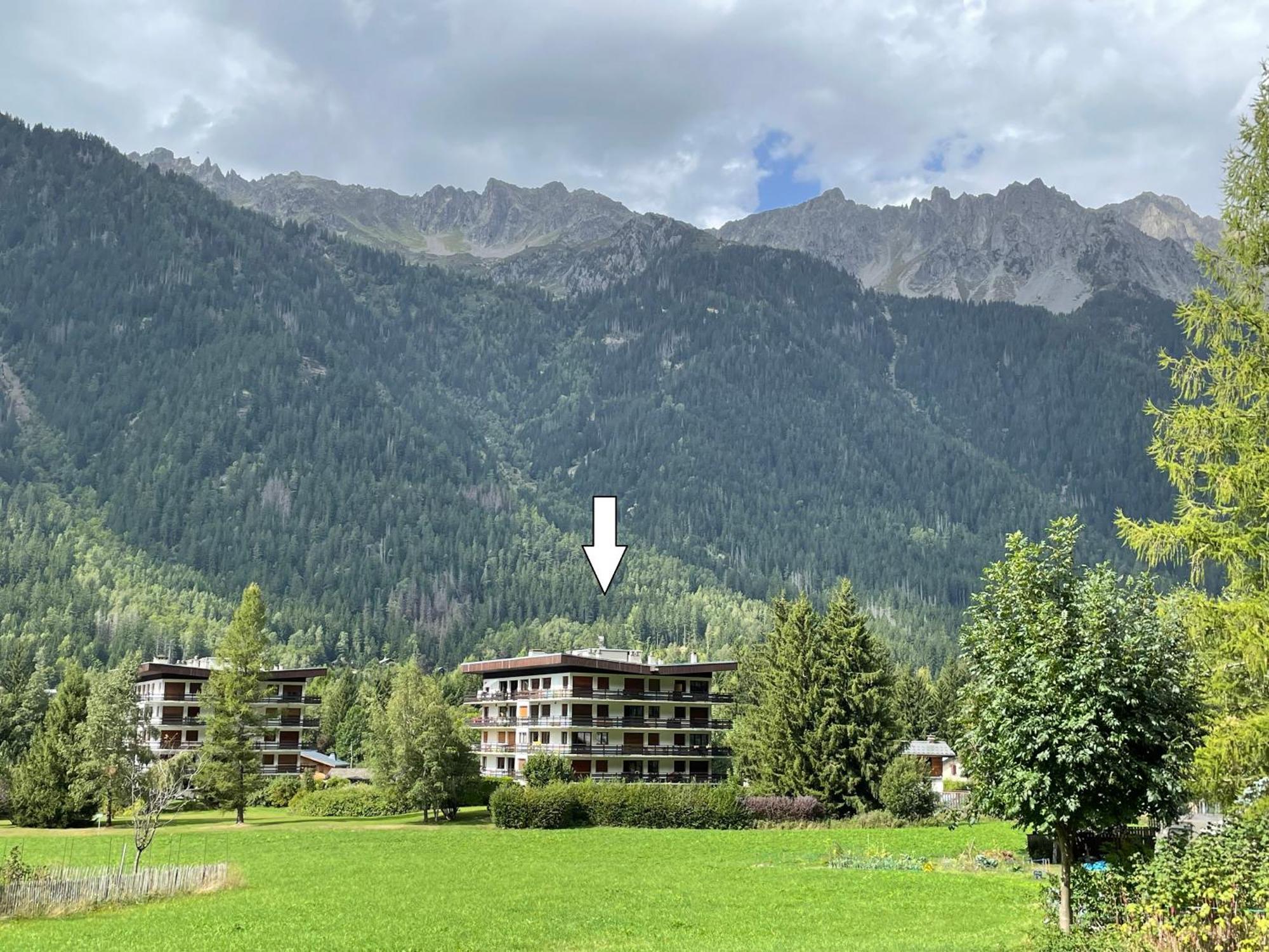 Residence Bois Du Bouchet, Appartement Vue Montagne, Calme, Parking Gratuit, Proche Centre Chamonix Eksteriør billede