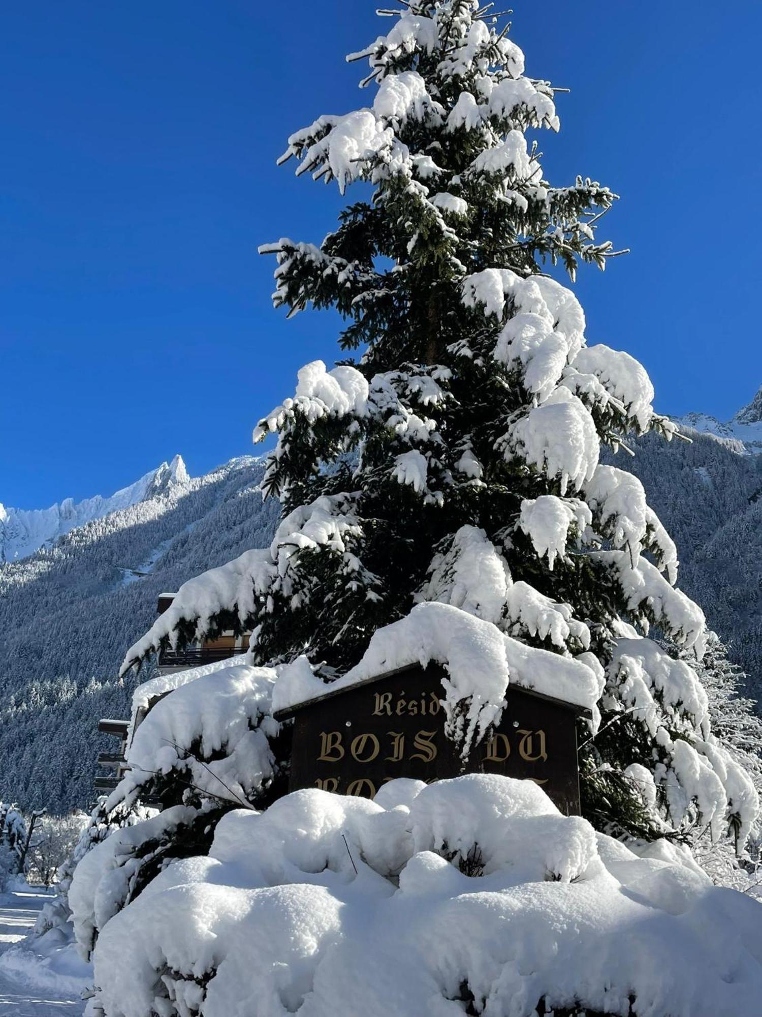 Residence Bois Du Bouchet, Appartement Vue Montagne, Calme, Parking Gratuit, Proche Centre Chamonix Eksteriør billede