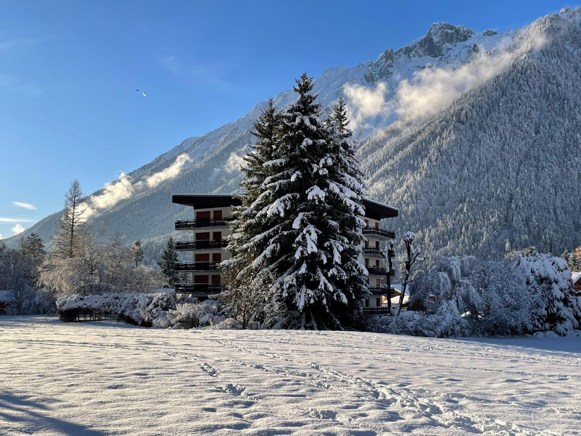 Residence Bois Du Bouchet, Appartement Vue Montagne, Calme, Parking Gratuit, Proche Centre Chamonix Eksteriør billede